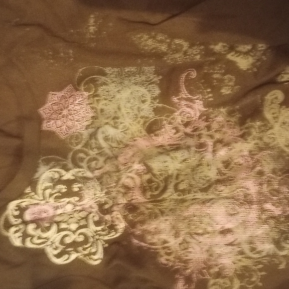 3X Appropriate Behavior brown long sleeve graphic T-shirt - Picture 3 of 3